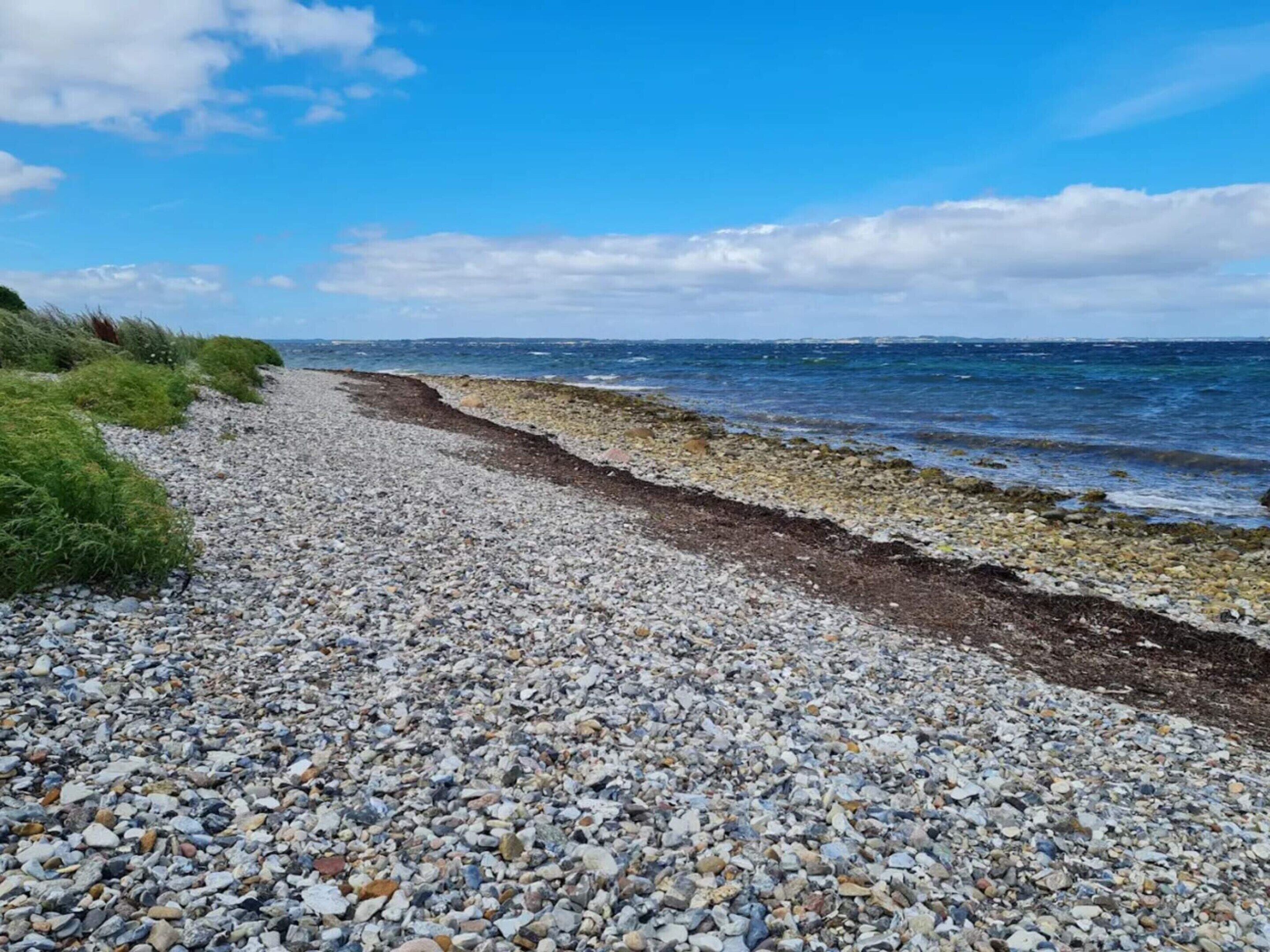 En sti langs en stenstrand der fører til havet under en klar himmel.