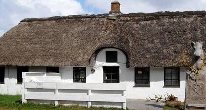 4 Person Holiday Home in Blavand