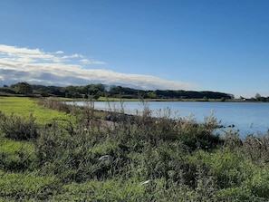 A natural landscape with a lake, grassy fields, and distant trees under a clear sky.