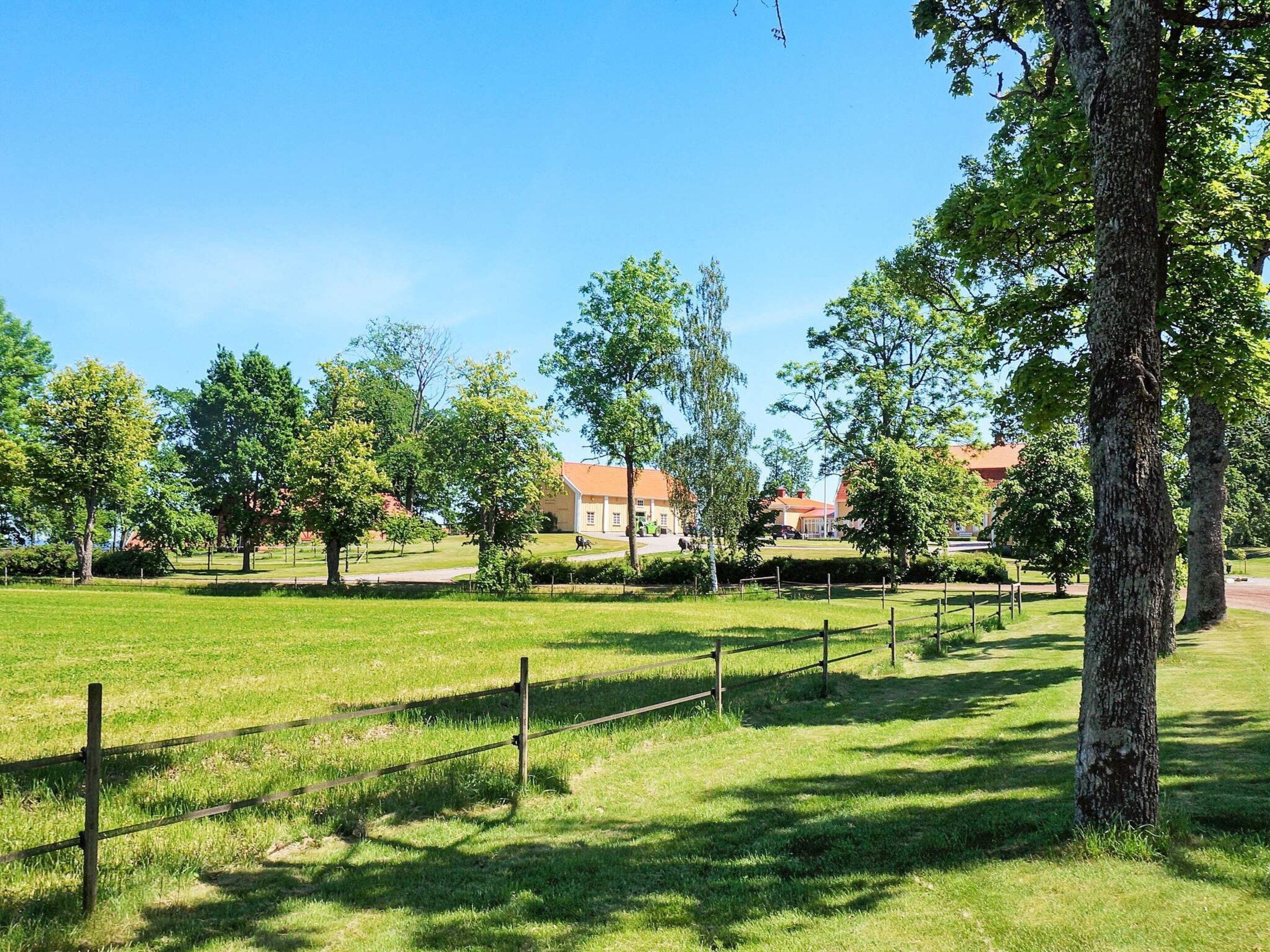A grassy park area with trees and a fence.