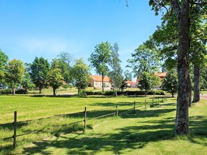Eine parkähnliche Grünfläche mit Bäumen und einem Zaun.