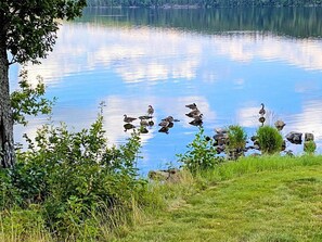Ferienhaus | Verschiedenes
