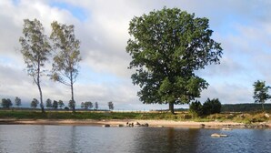 A calm river with trees and a clear sky.