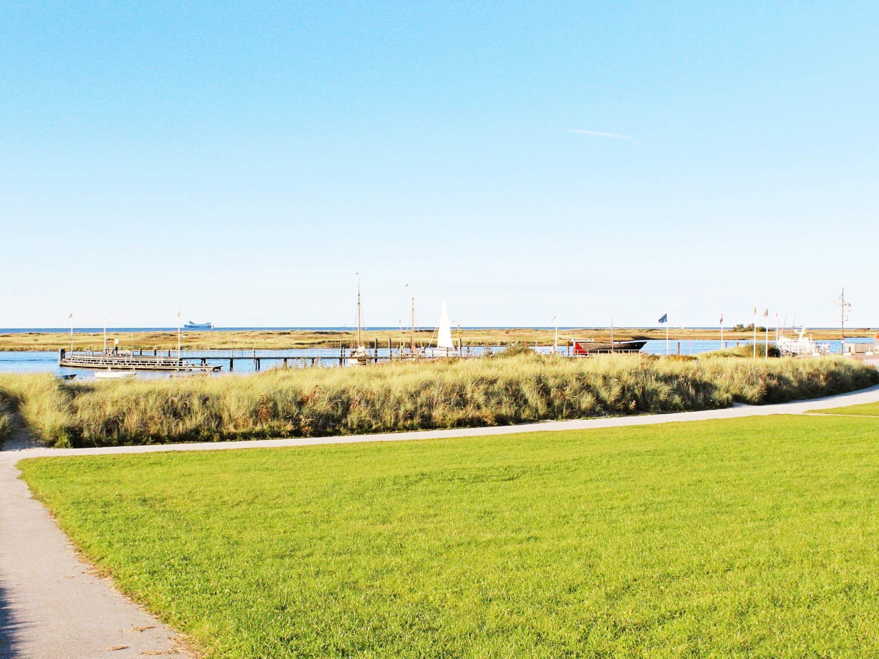 A grassy field with a paved path leading to a body of water.