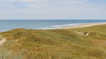 House | Beach