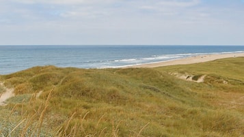 Et kystlandskab med strand og klitter.
