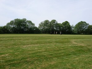 Ein offenes, grasbewachsenes Feld mit Bäumen im Hintergrund.