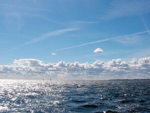 House | Miscellaneous