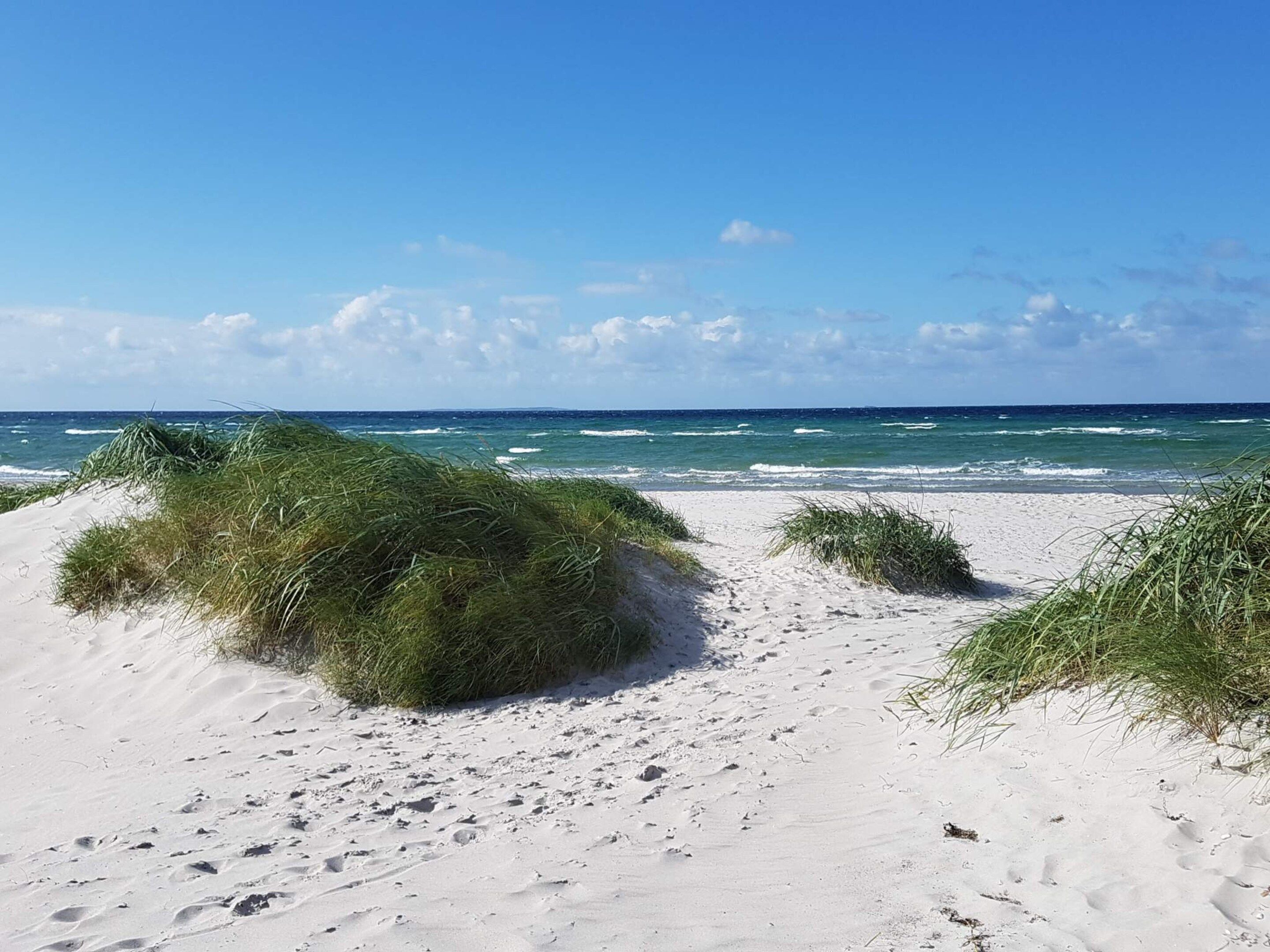 A sandy beach with grass dunes and the ocean in the background.