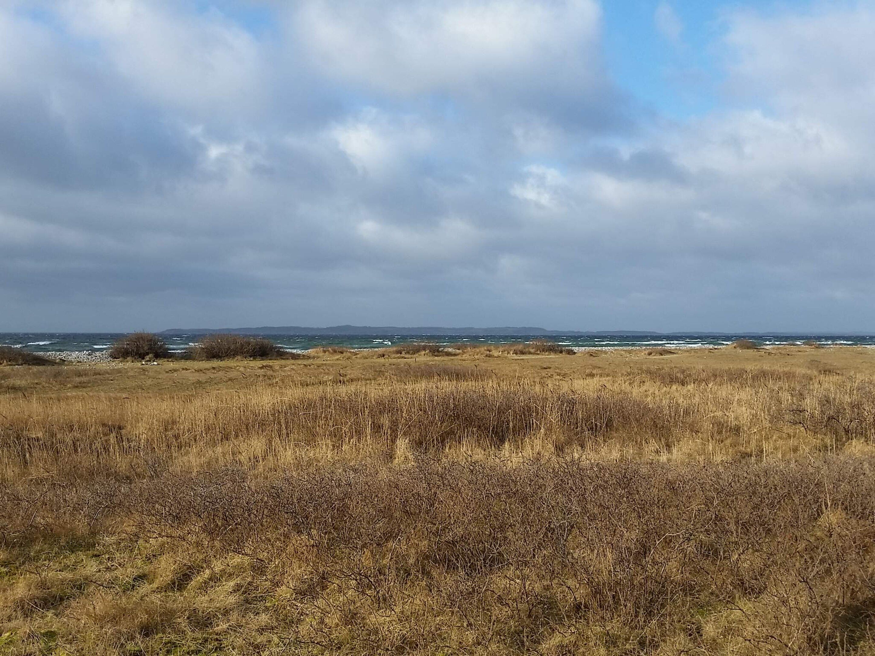 Un paysage côtier caractérisé par un terrain herbeux et une vue sur la mer.