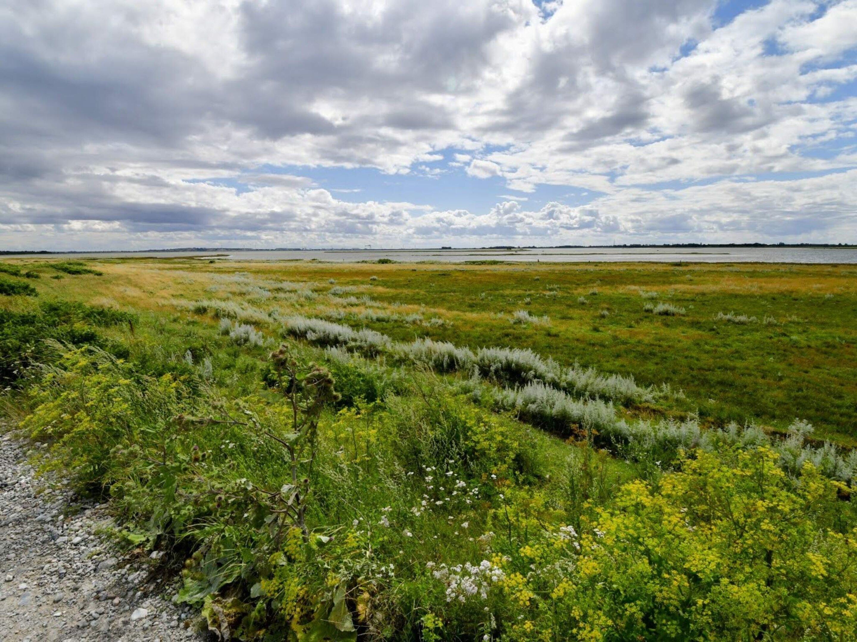 Un paysage naturel caractérisé par une végétation variée et un plan d’eau lointain, le tout sous un ciel nuageux.