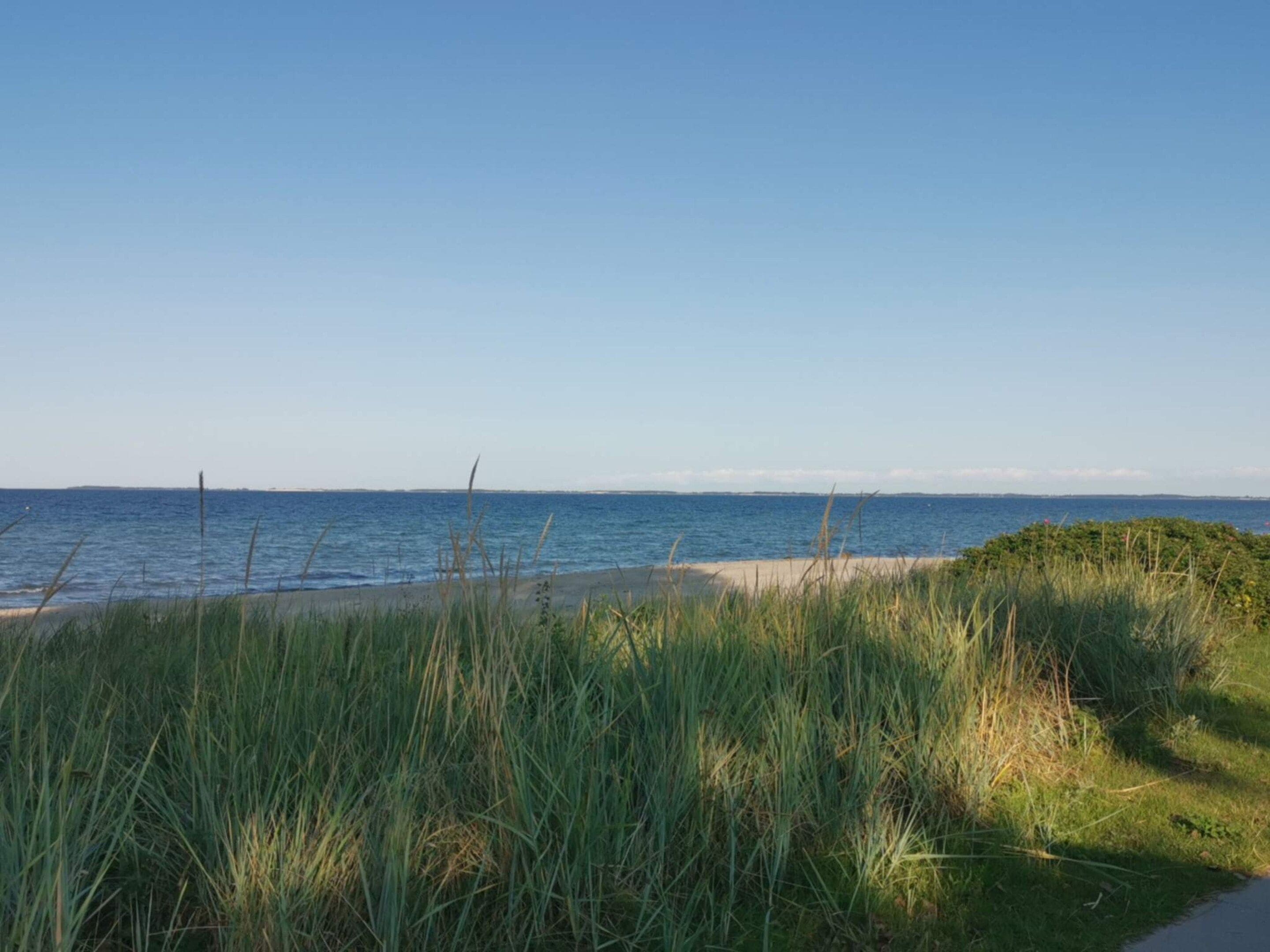 Un paysage côtier caractérisé par un ciel dégagé, une plage de sable et de hautes herbes.