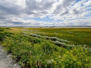 House | Miscellaneous - 8 Person Holiday Home in Otterup-by Traum (Otterup)