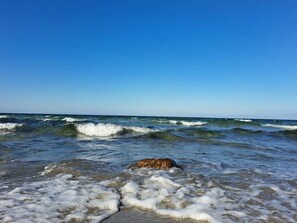Une plage avec des vagues et un chien dans l’eau.
