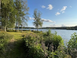 En stig som går längs med en sjö, omgiven av träd och buskar, och som leder fram till en lugn sjö.