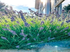 Huis | Exterieur