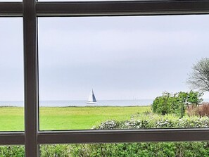 Une vue à travers une fenêtre, avec un voilier à l’horizon, un champ d’herbe et un arbre sur la droite.