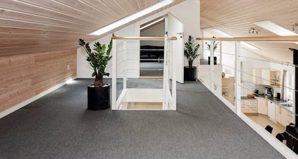 5 Star Holiday Home in Ega