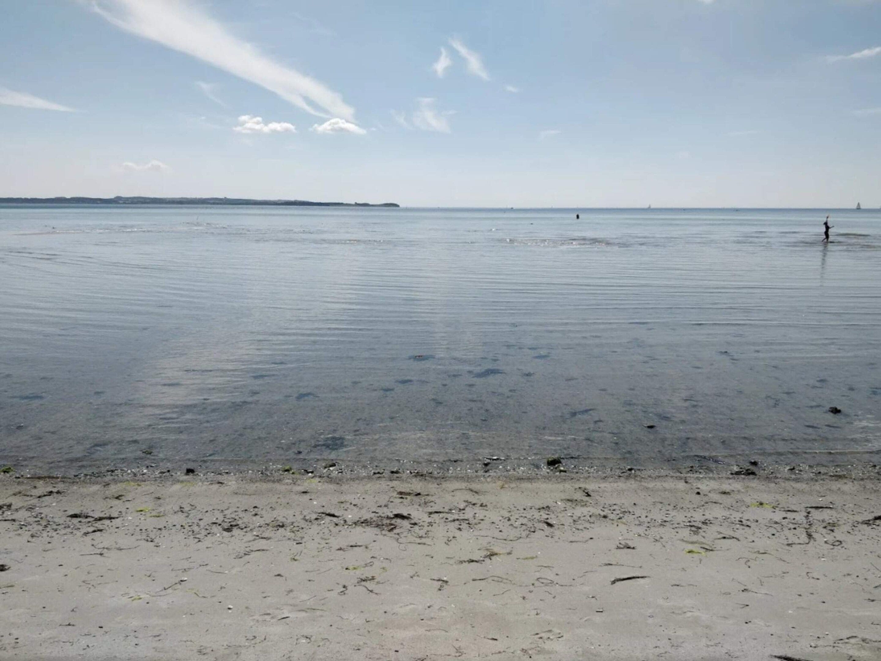 En strand med roligt vand og en fjerntliggende kystlinje.