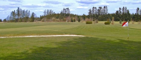 Un campo de golf con un bunker de arena y una bandera que señala un hoyo.