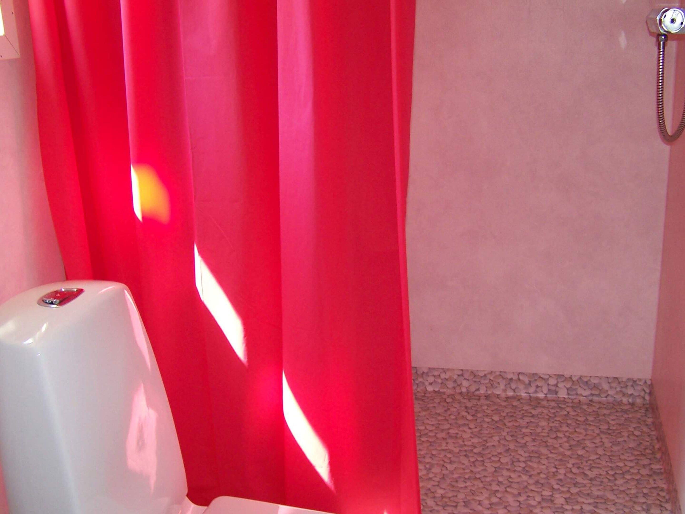 A bathroom with a red shower curtain, a white toilet, and a shower head on the wall.