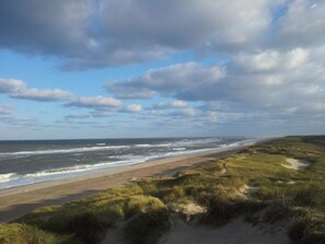 A beach with dunes and a path leading to the water.