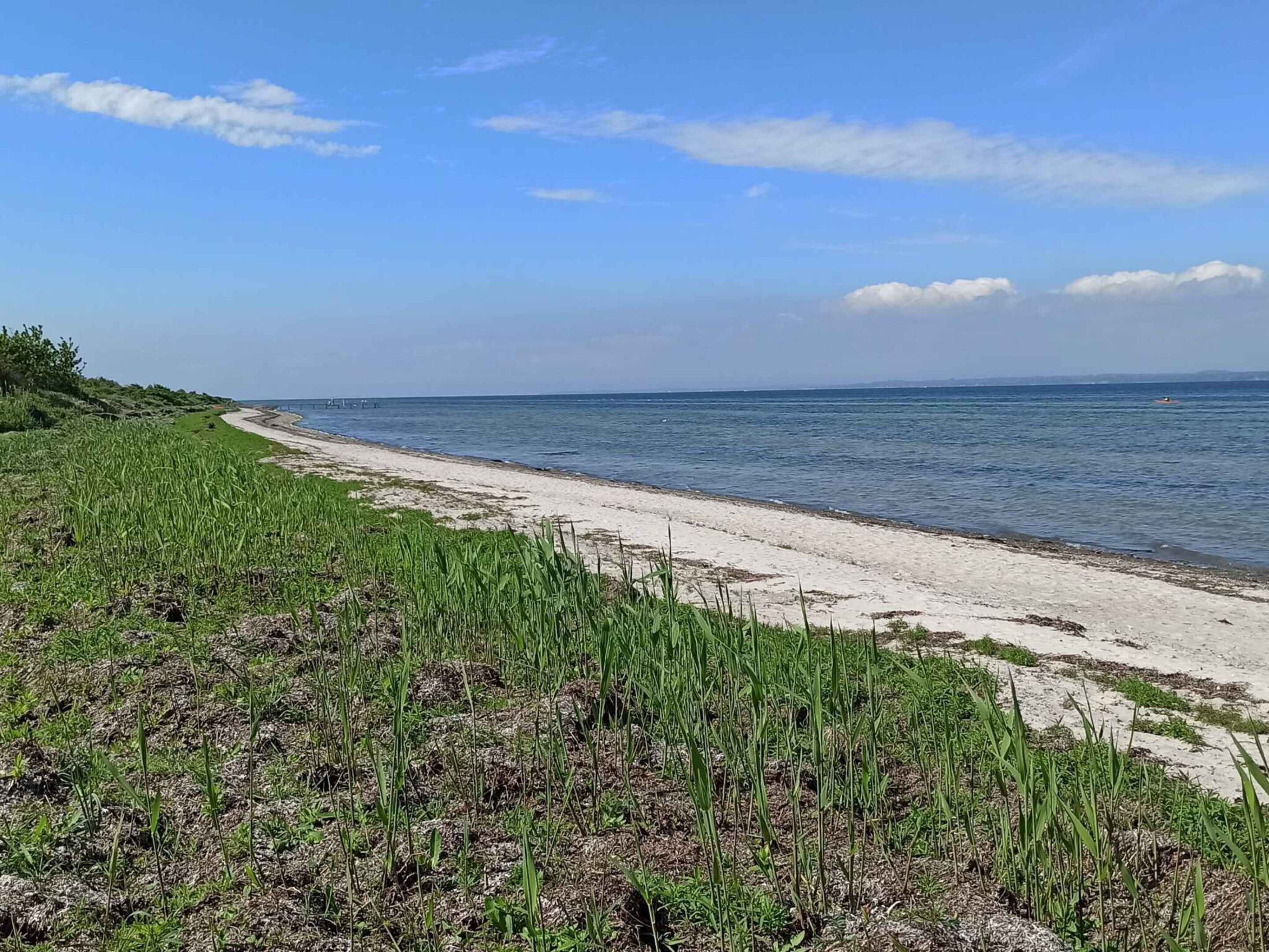 Una playa con arena y vegetación.