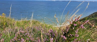 4 Star Holiday Home in Struer