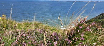 4 Star Holiday Home in Struer
