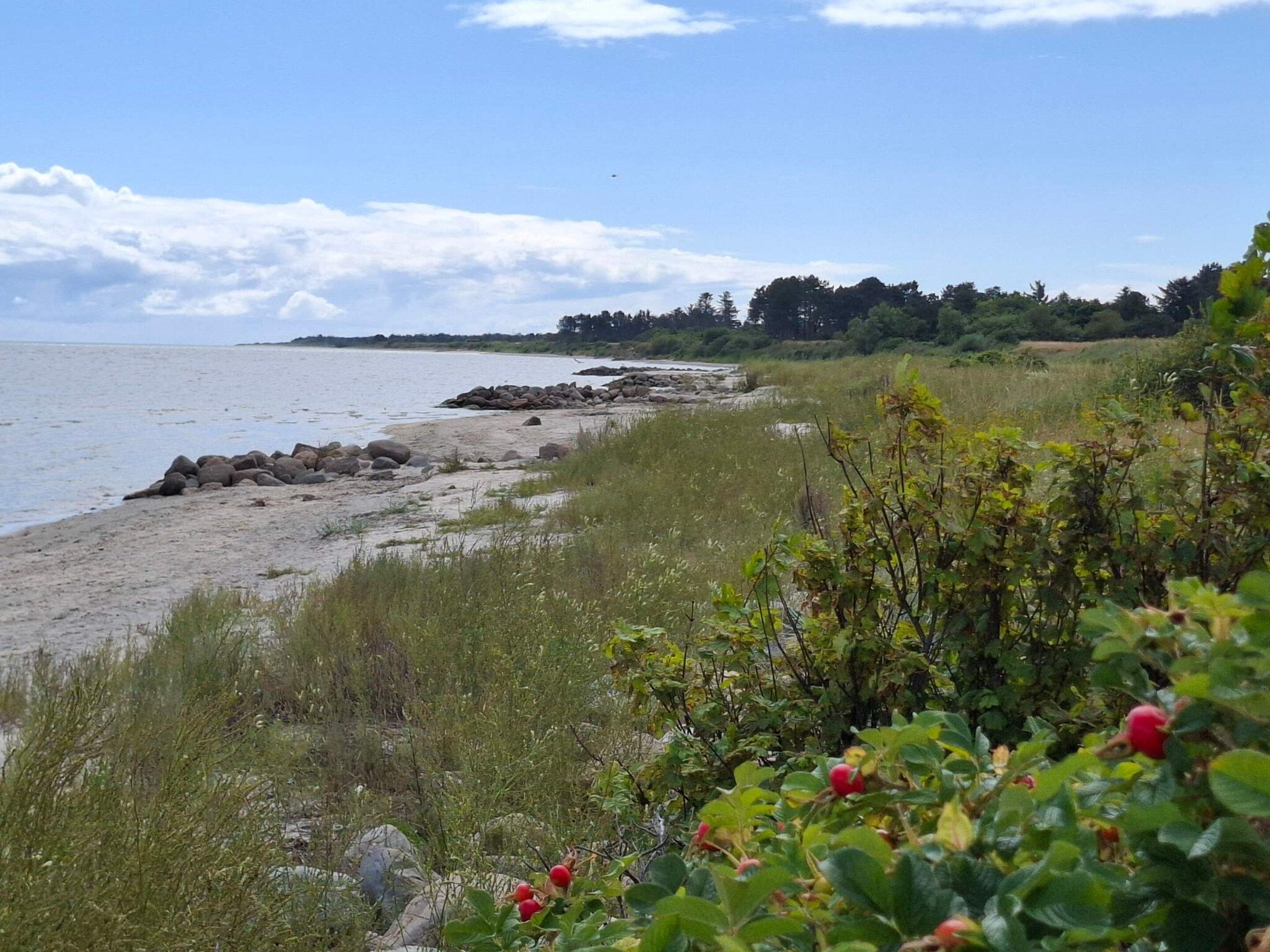 A coastal landscape with a sandy beach, rocky outcrops, and dense greenery.