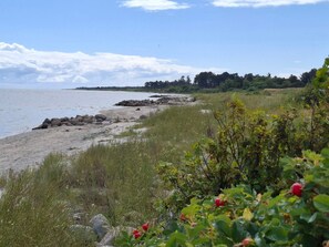 Et kystlandskab med sandstrand, klippeformationer og frodig vegetation.