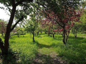 House | Miscellaneous