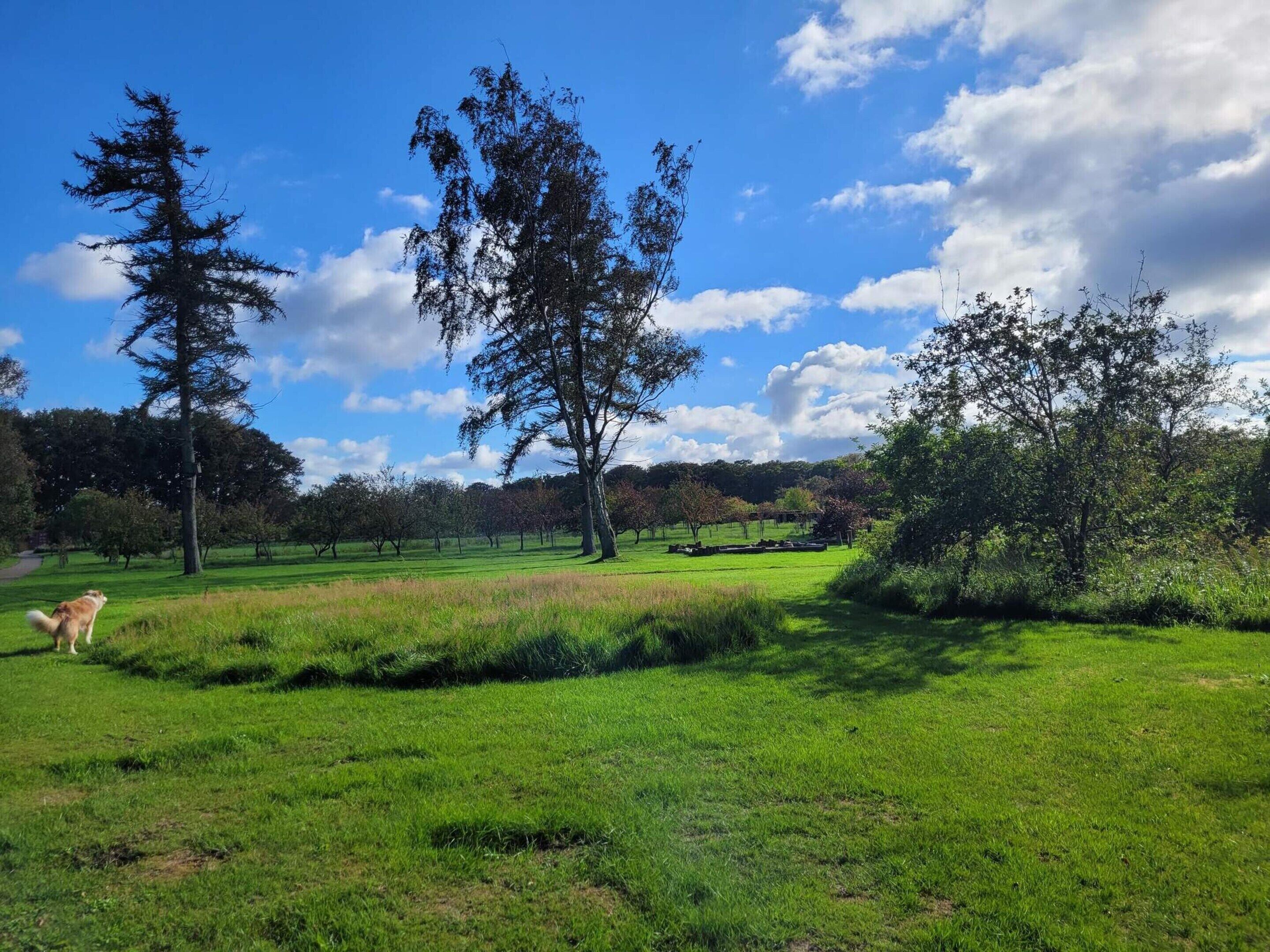 House | Property grounds