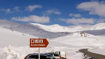 Ferienhaus | Unterkunftsgelände