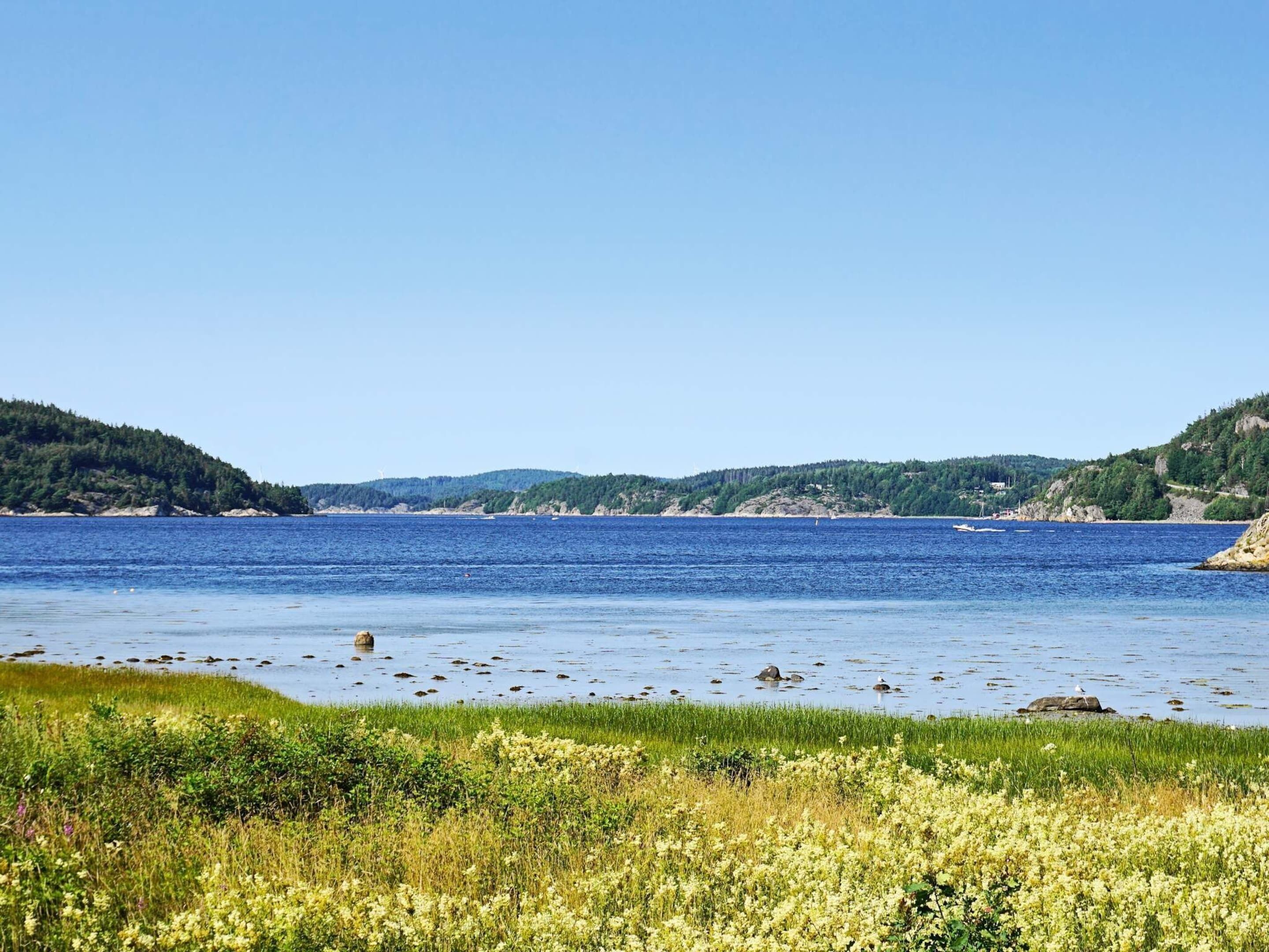 獨棟房屋 | 水景