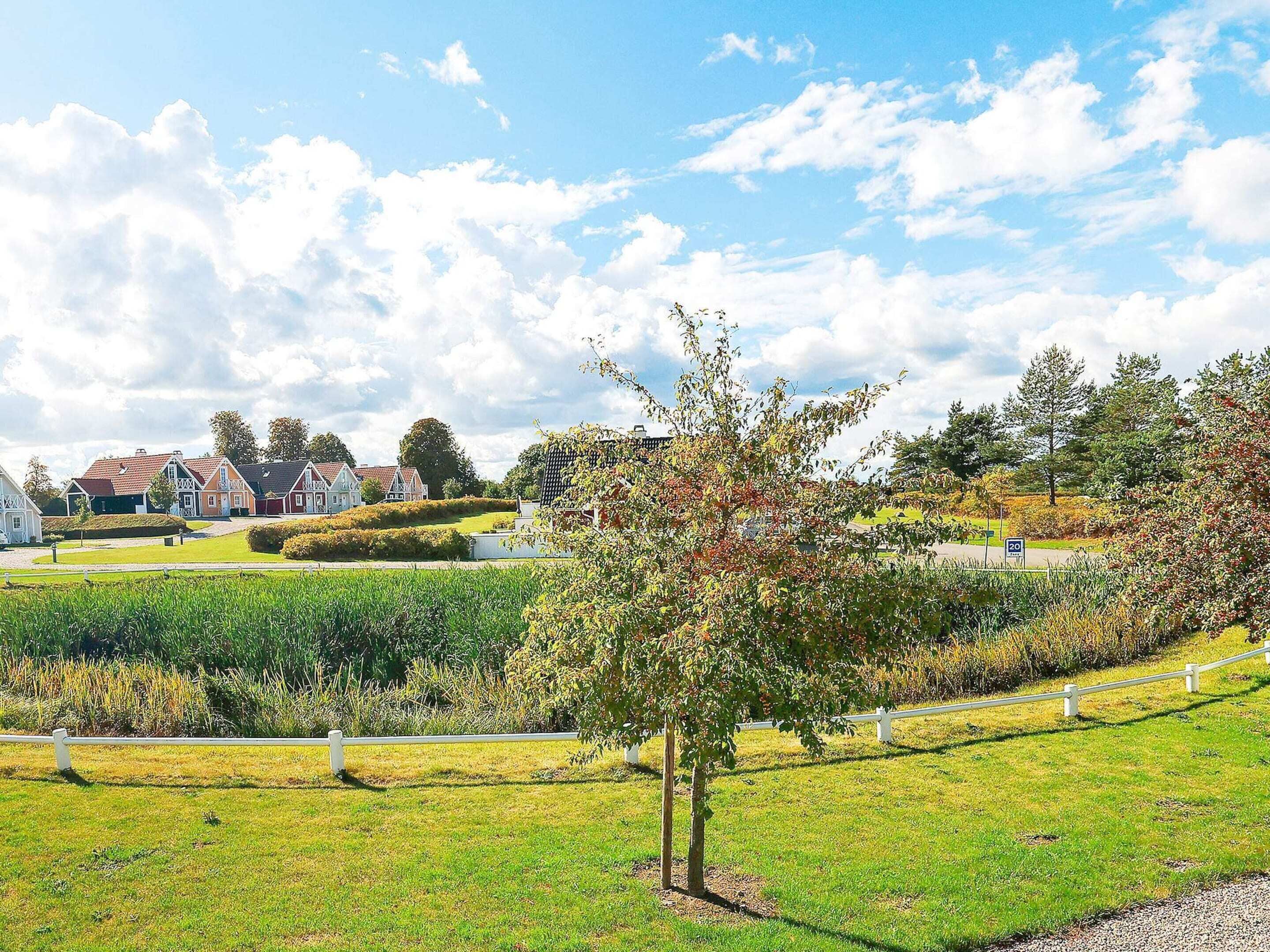 House | Property grounds