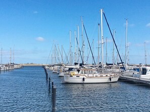 A marina with multiple sailboats docked at the pier.