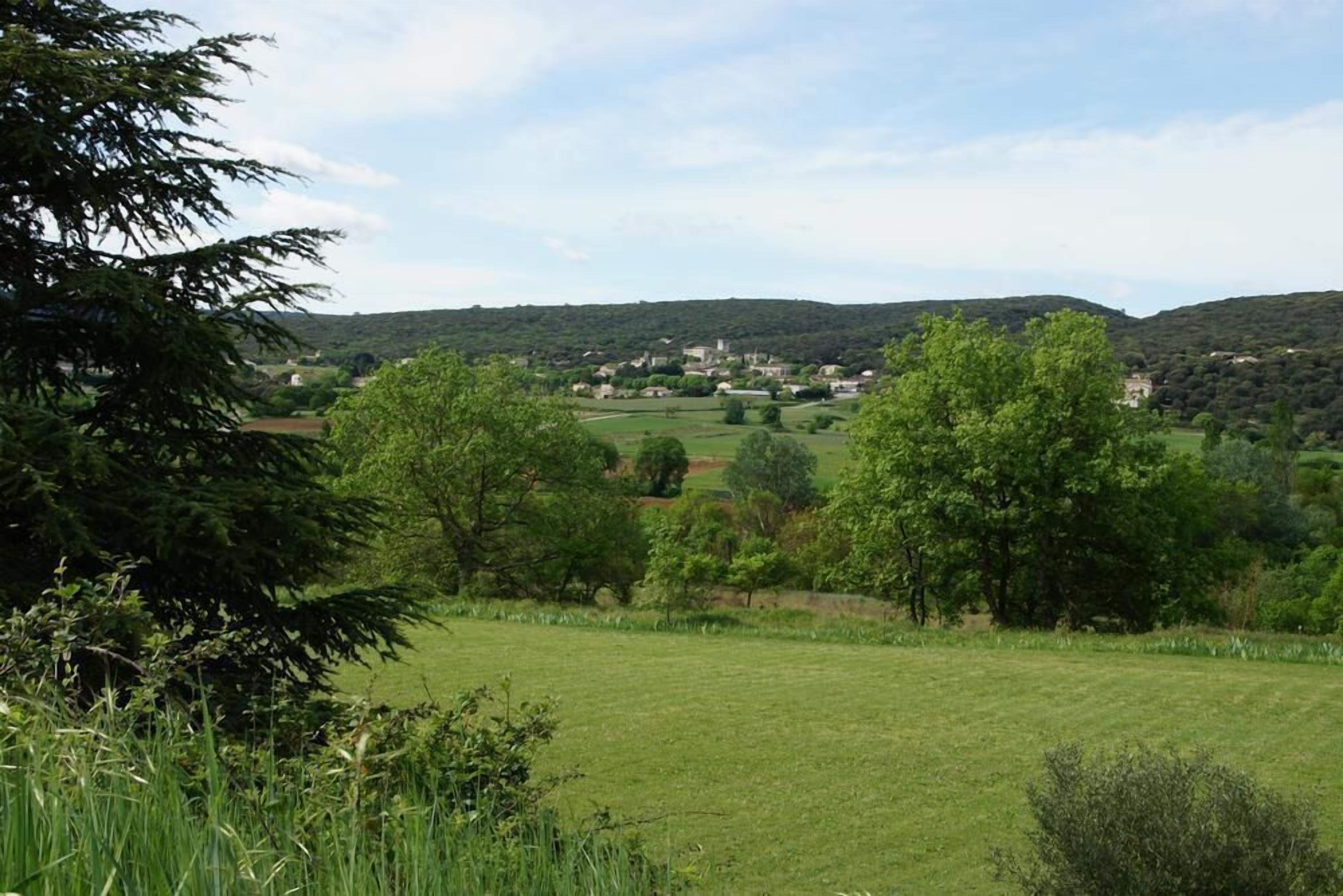 Ländliche Landschaft mit einer Wiese, Bäumen und einem Dorf in der Ferne.