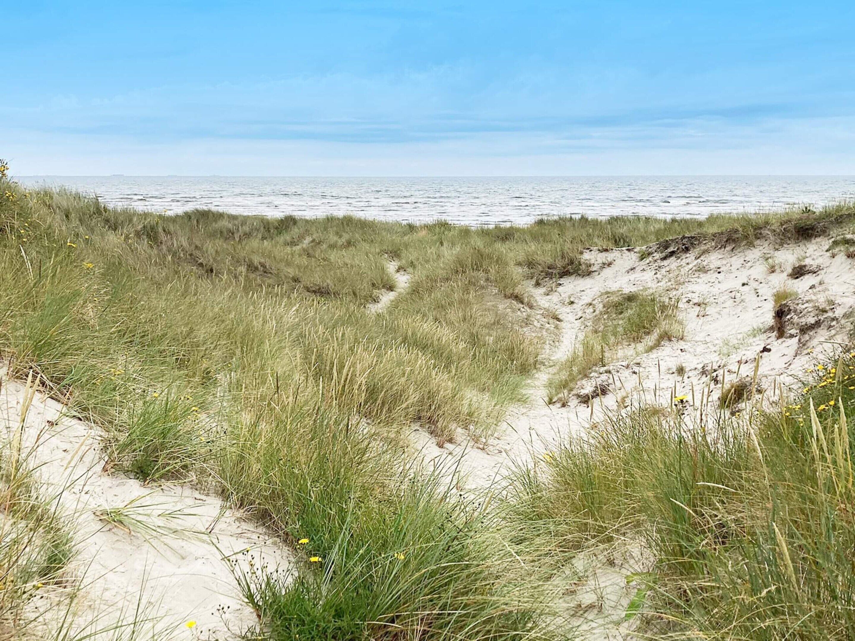 Une plage avec des dunes de sable et de l’herbe.