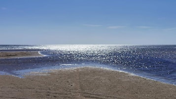 A beach with a clear sky and calm sea.