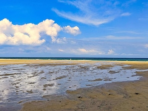 A beach with wet sand and a clear sky. - 4 Star Holiday Home in Albaek (Aalbaek)