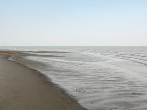 A beach with wet sand and gentle waves.