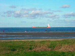 A large cargo ship on the water with a grassy beach in the foreground.