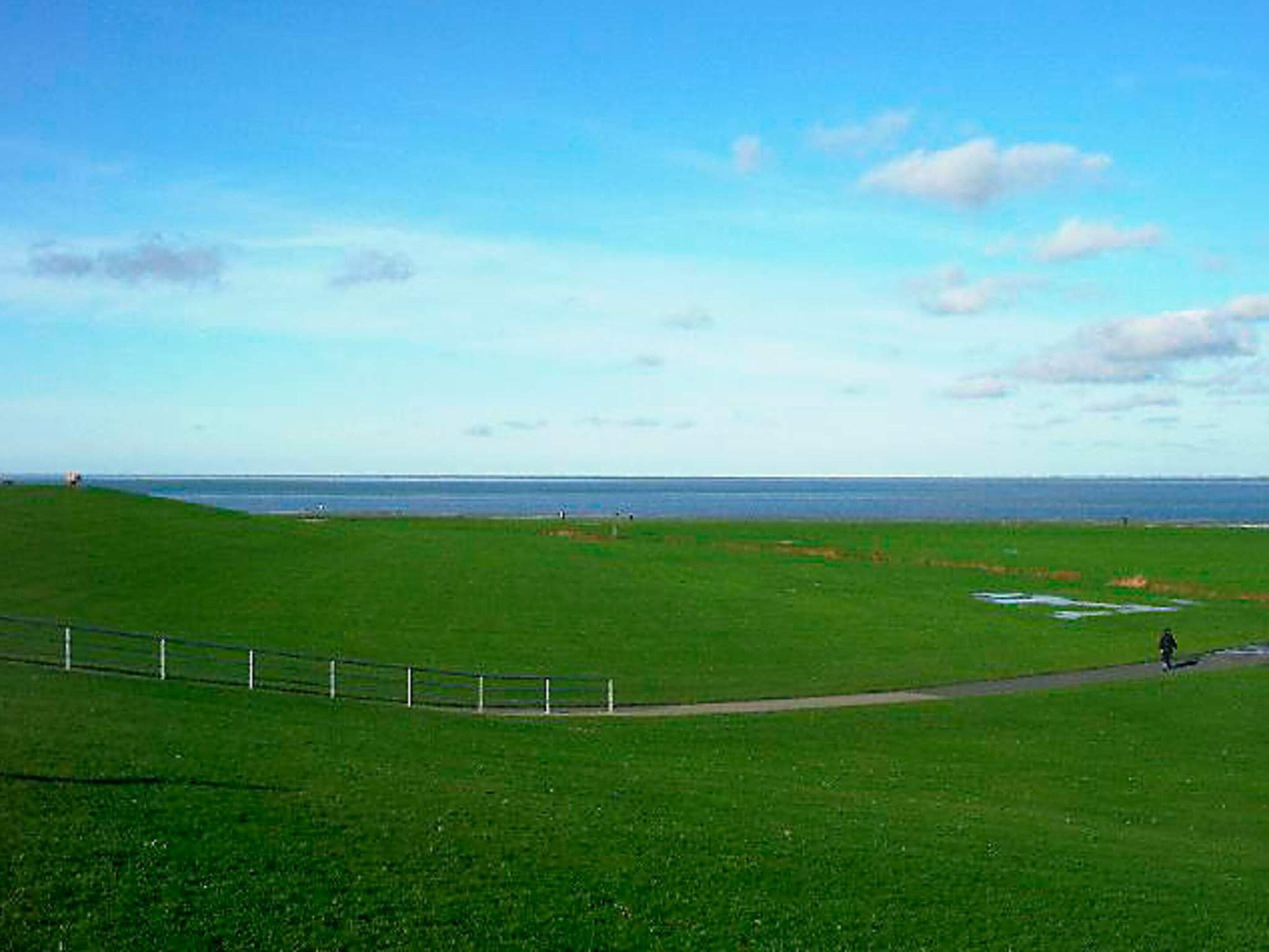 A grassy field with a fence and a path leading to the water.
