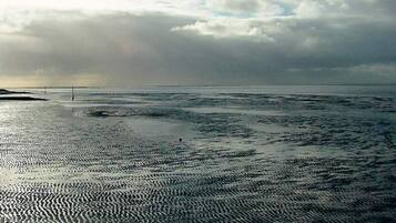 Rumah | Pantai