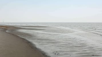 House | Beach