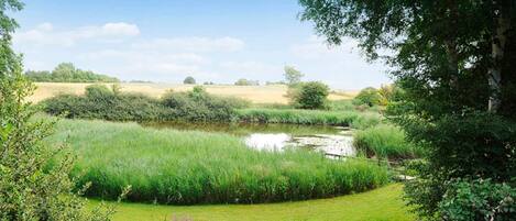 Ferienhaus | Blick auf den See