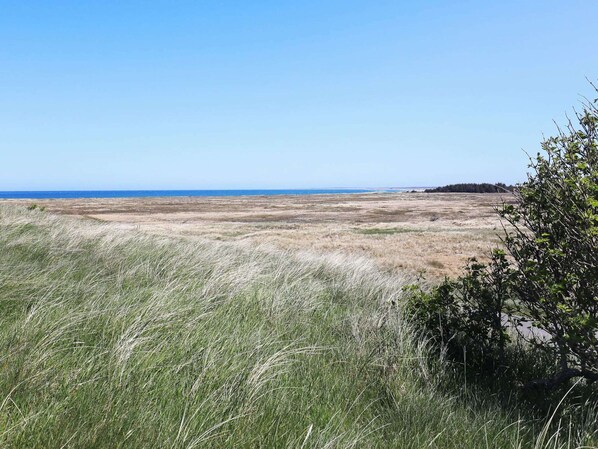 Casa | Vista al agua