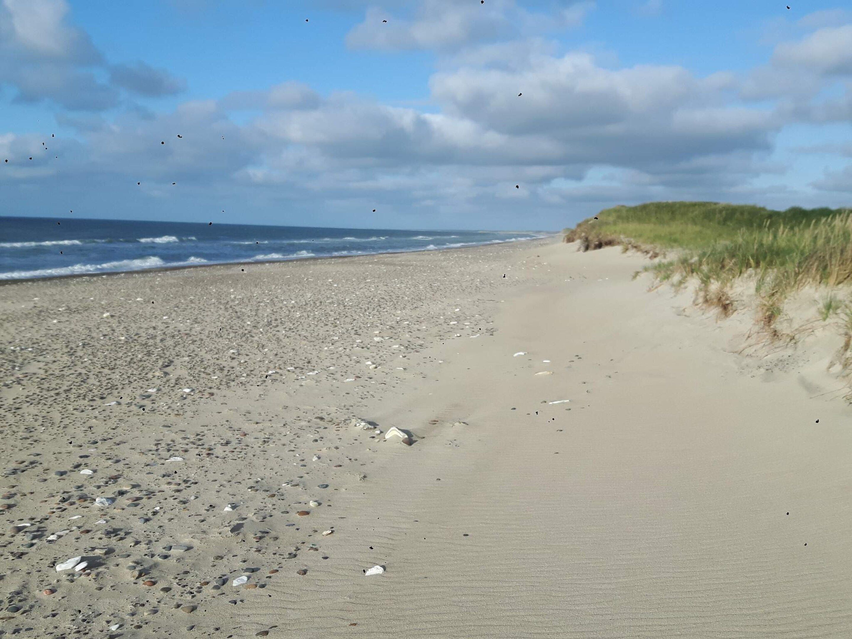 Una playa con piedras y arena, una duna cubierta de hierba y el océano al fondo.
