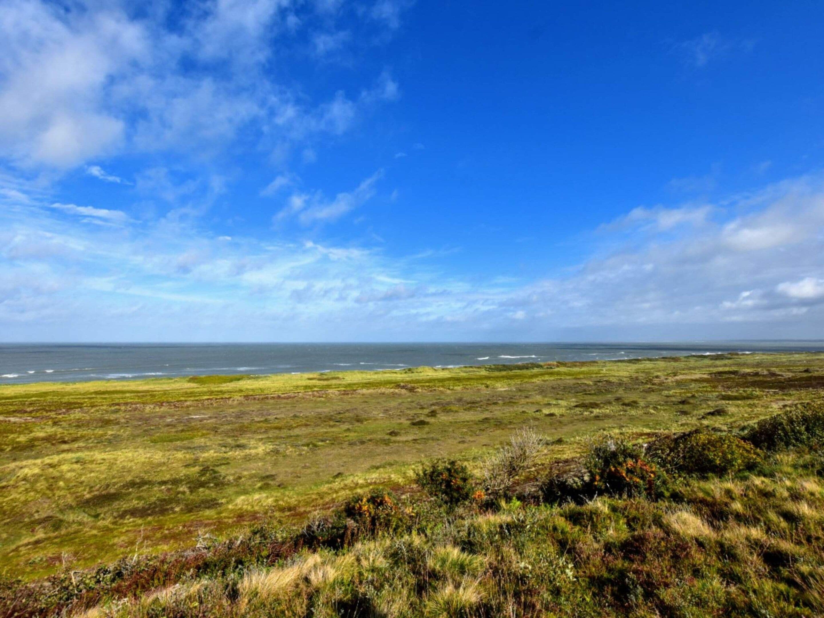Un paisaje costero con vista al mar y una zona cubierta de césped.